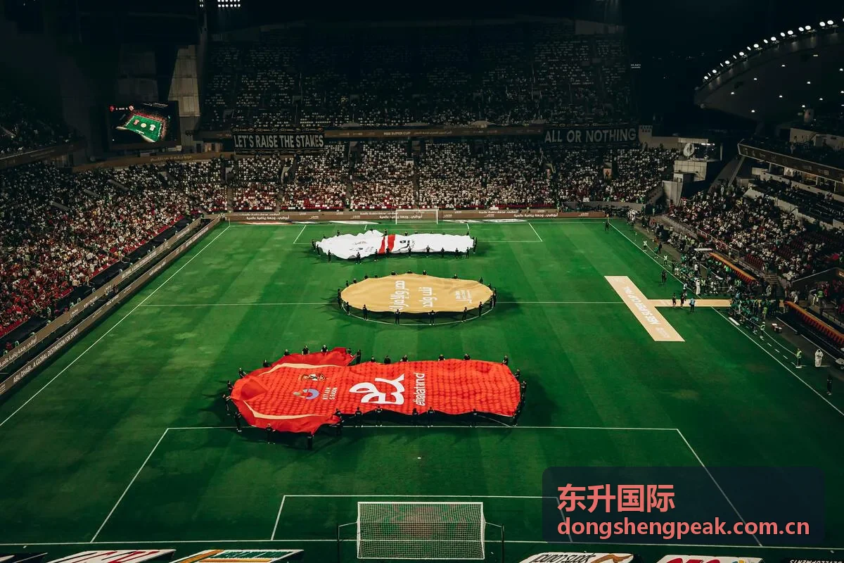 东升国际安全确认服务场景